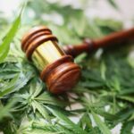 what are the school consequences of having weed in georgia