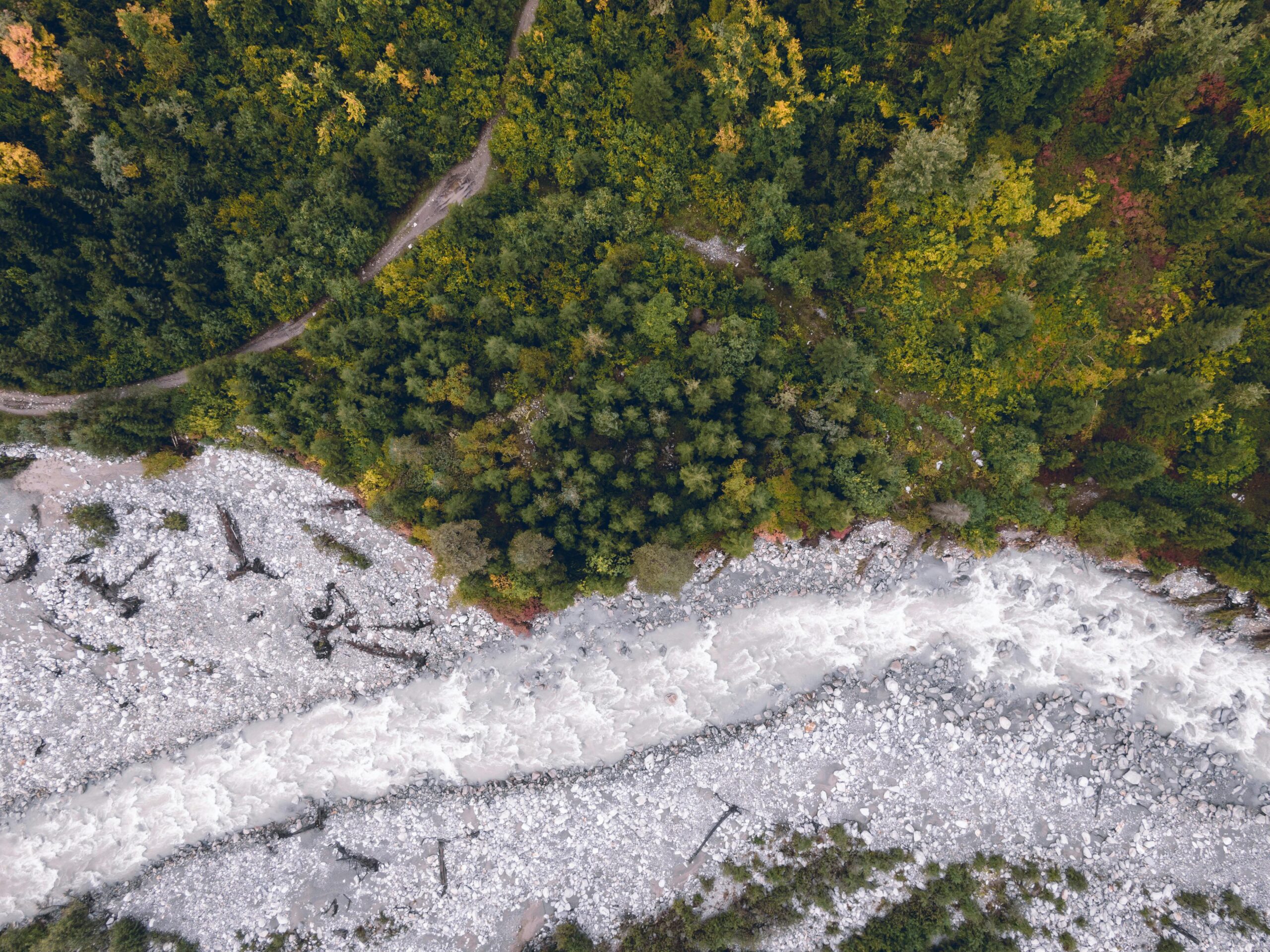 Breathtaking aerial shot of a river flowing through a lush forest in Tbilisi, Georgia.