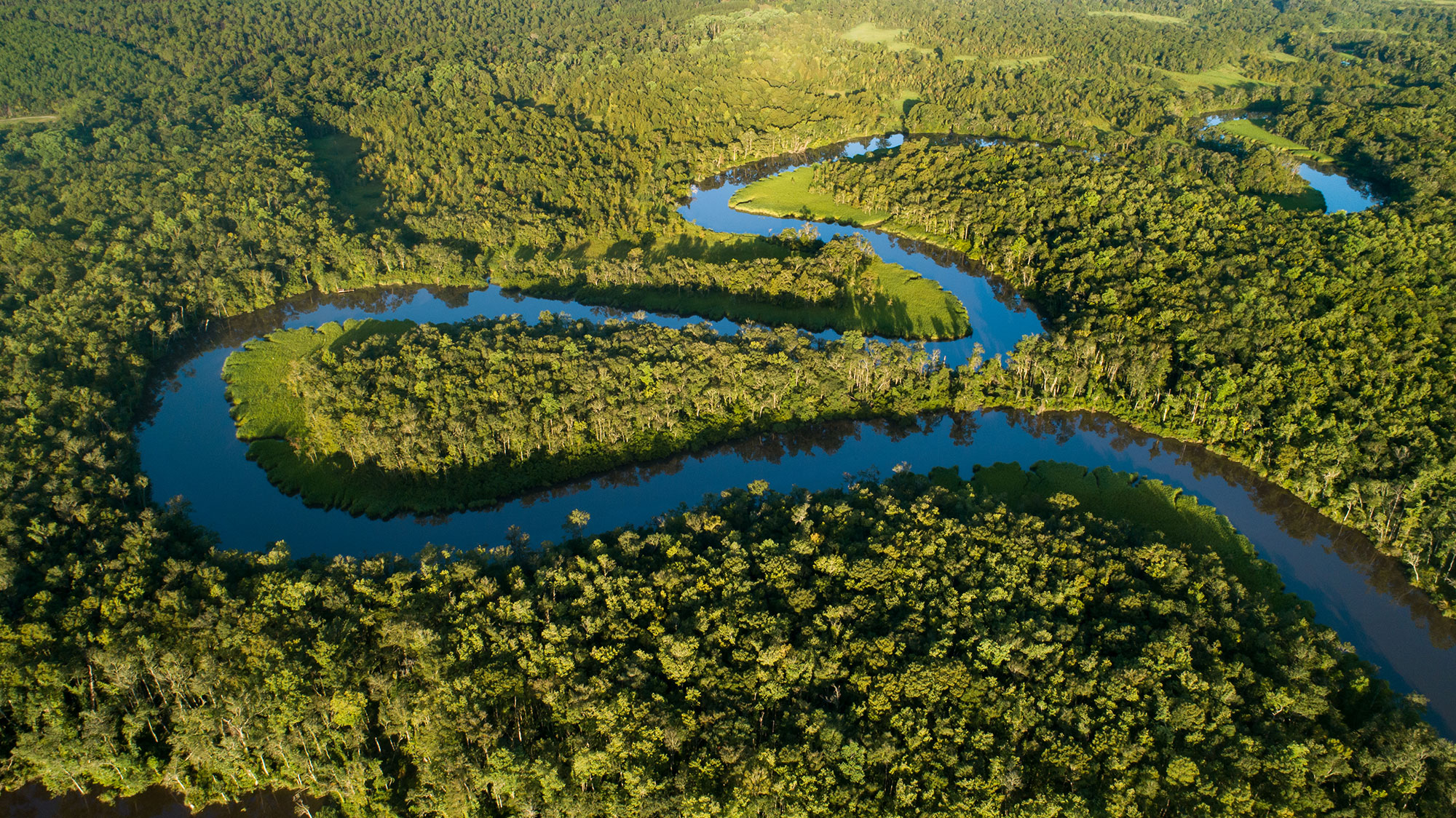 what is the longest river entirely in georgia