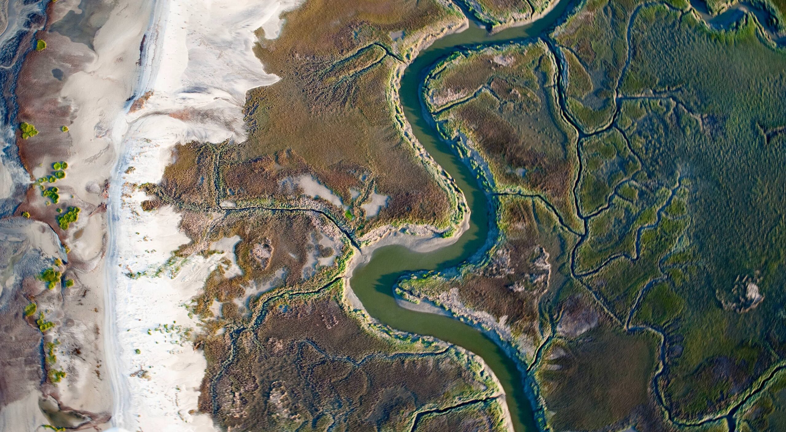 what is the largest river located entirely in georgia
