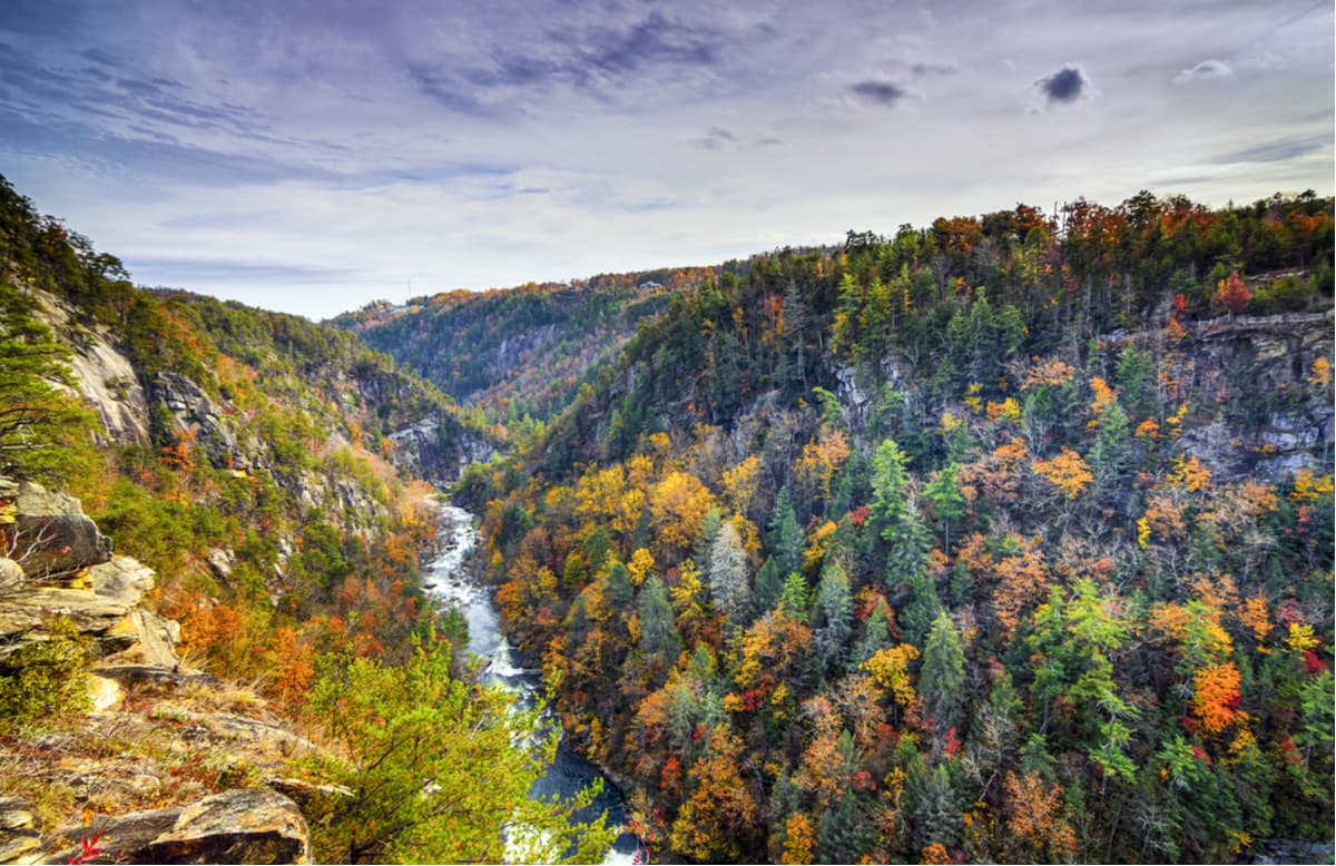 Northeast Georgia Mountains