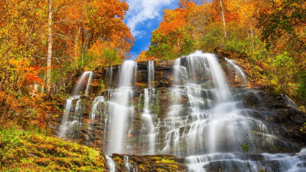 Amicalola Falls State Park: Waterfall Wonders Amicalola Falls State Park: Waterfall Wonders