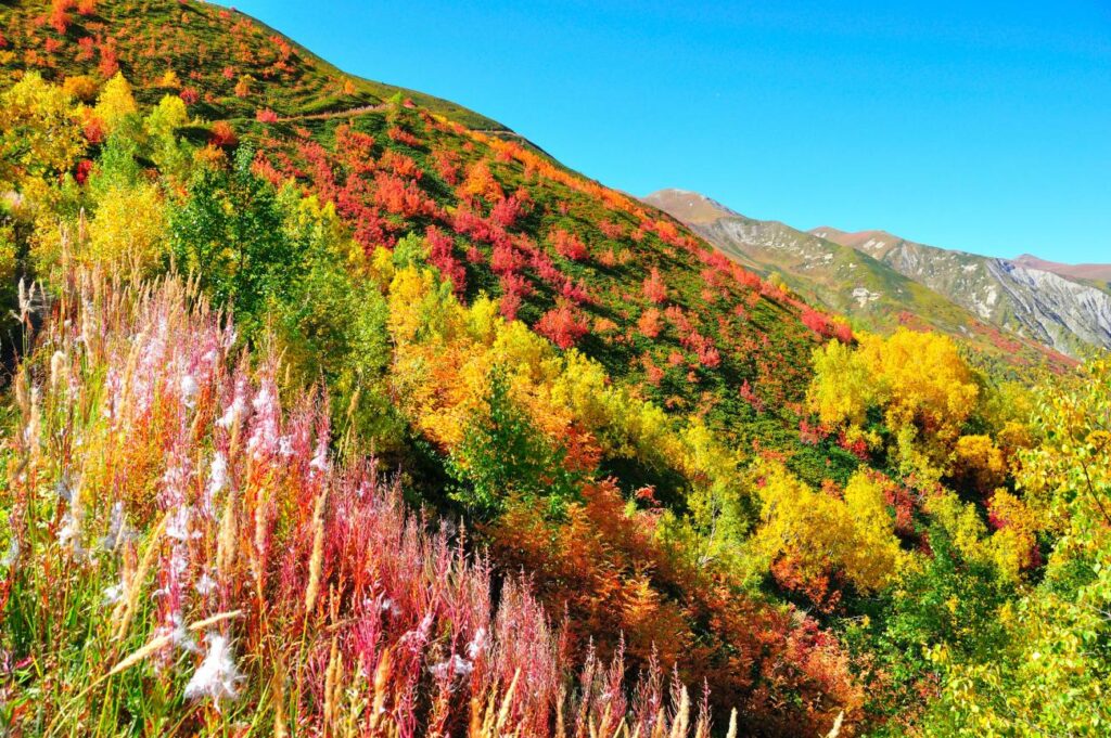 Best Time to Visit Georgia Country