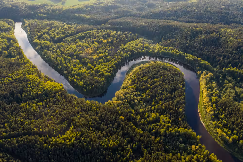 Amazon vs Nile – Which Is the World’s Largest River? Amazon vs Nile – Which Is the World’s Largest River?