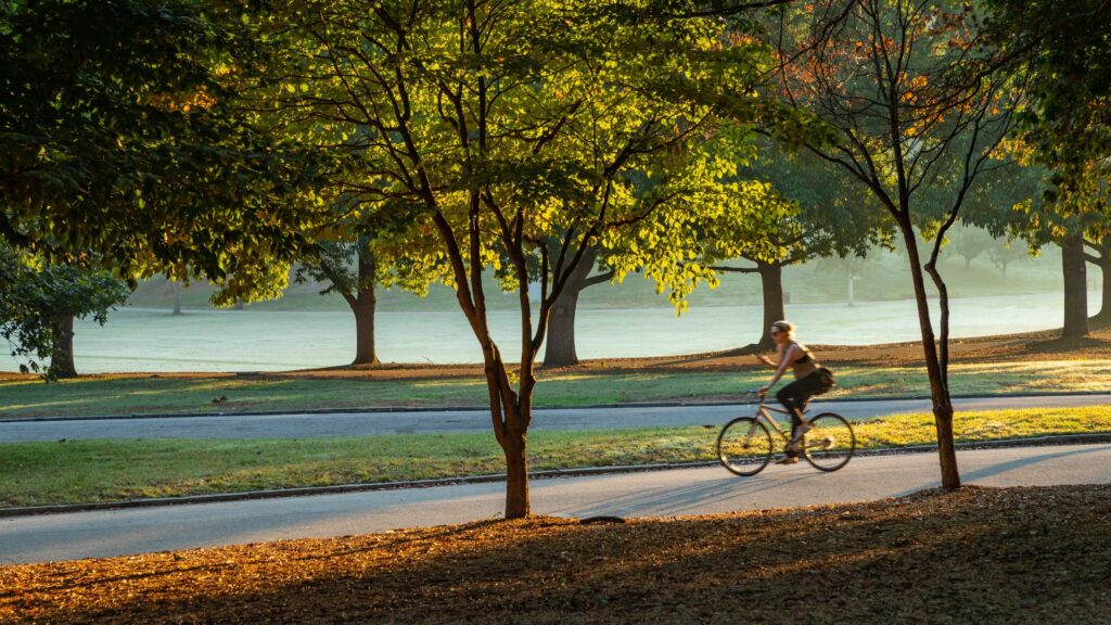 Things to Do in Georgia in 2025