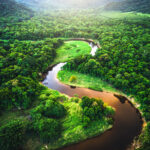 What Is the World’s Largest River