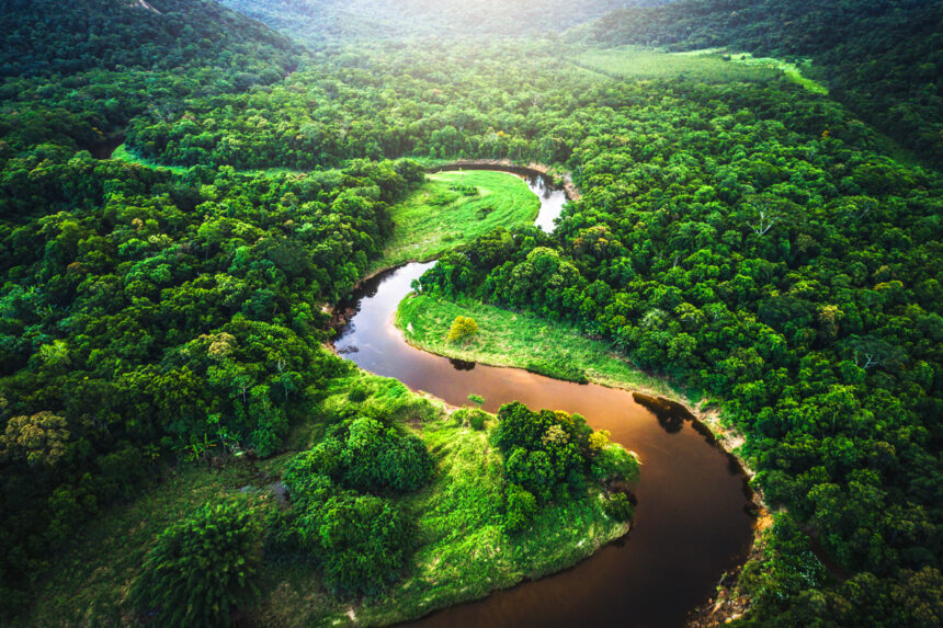 What Is the World’s Largest River